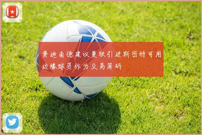 费迪南德建议曼联引进斯密特可用边缘球员作为交易筹码